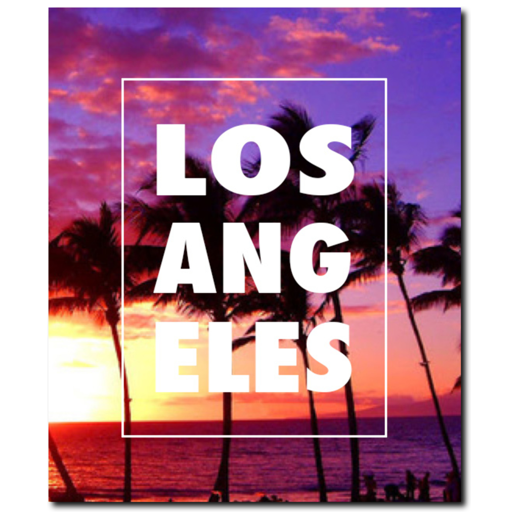 LA "Palm Trees" 20"x24" Canvas Wrap - Los Angeles Source
 - 2
